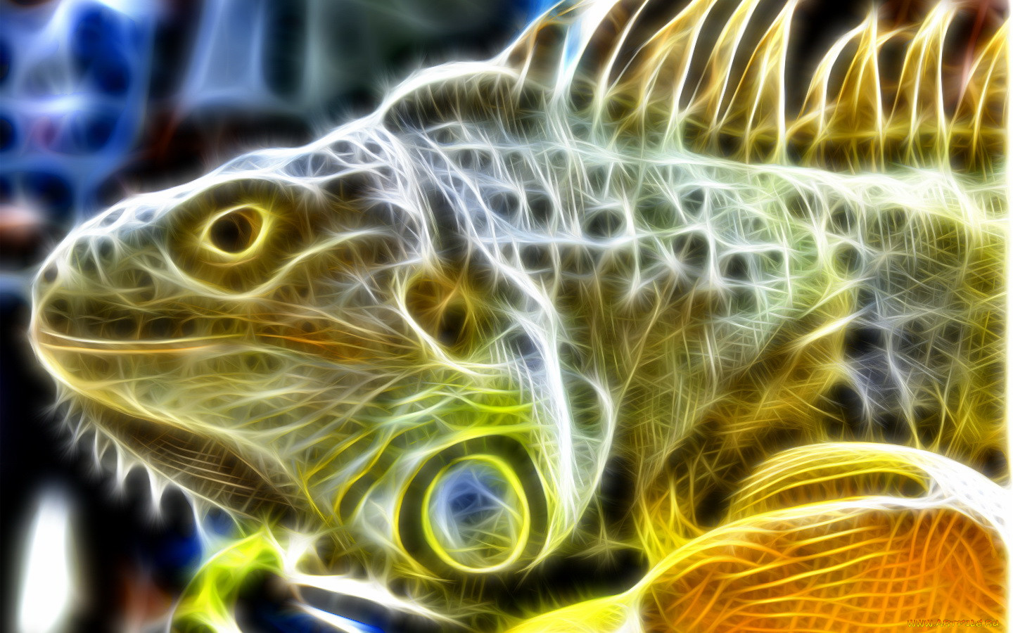 3, , animals, 